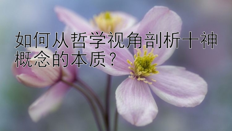 如何从哲学视角剖析十神概念的本质？