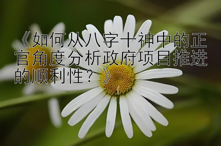 《如何从八字十神中的正官角度分析政府项目推进的顺利性？》