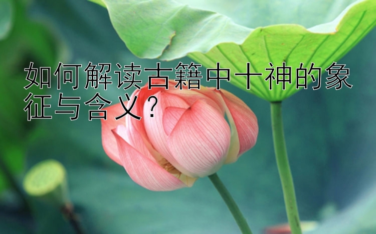 如何解读古籍中十神的象征与含义？