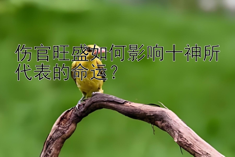 伤官旺盛如何影响十神所代表的命运？