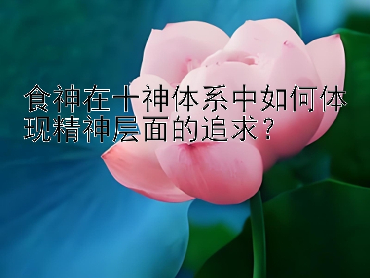 食神在十神体系中如何体现精神层面的追求？