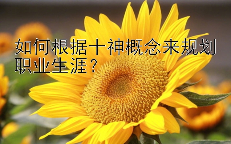 如何根据十神概念来规划职业生涯？