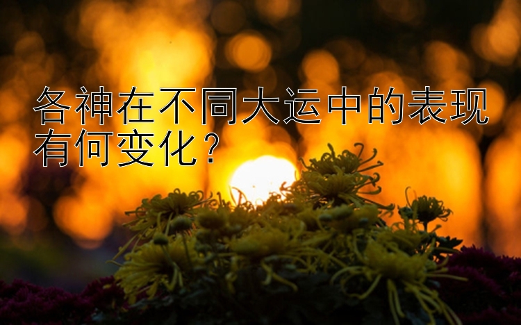 各神在不同大运中的表现有何变化？