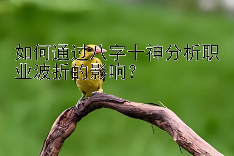 如何通过八字十神分析职业波折的影响？