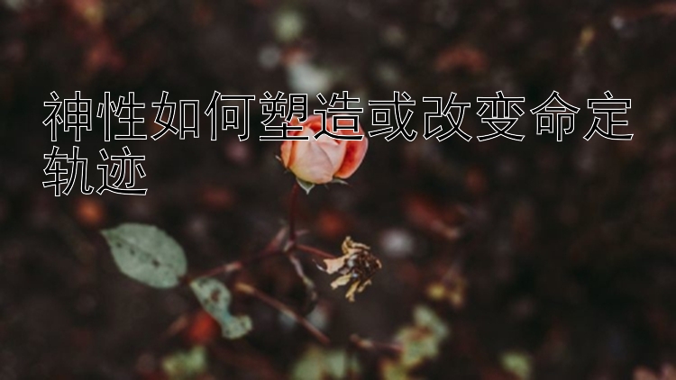 神性如何塑造或改变命定轨迹