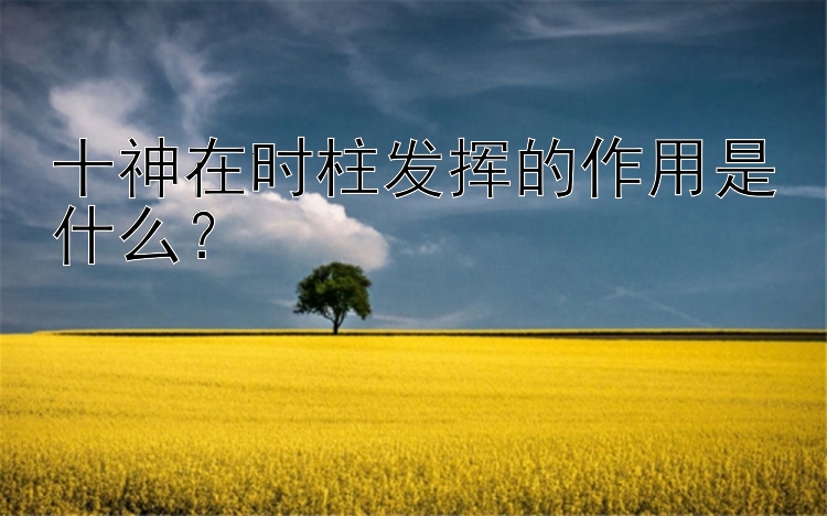 十神在时柱发挥的作用是什么？