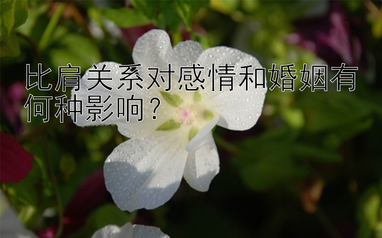 比肩关系对感情和婚姻有何种影响？