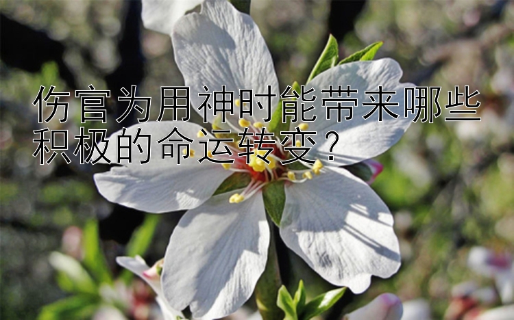 伤官为用神时能带来哪些积极的命运转变？