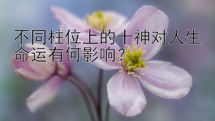 不同柱位上的十神对人生命运有何影响？