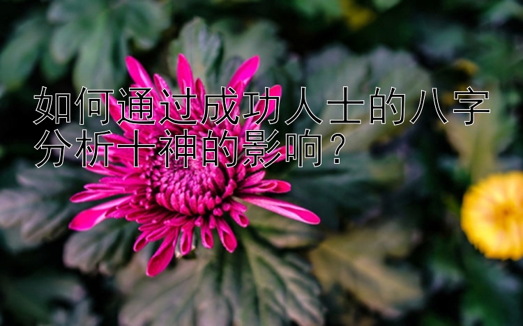 如何通过成功人士的八字分析十神的影响？