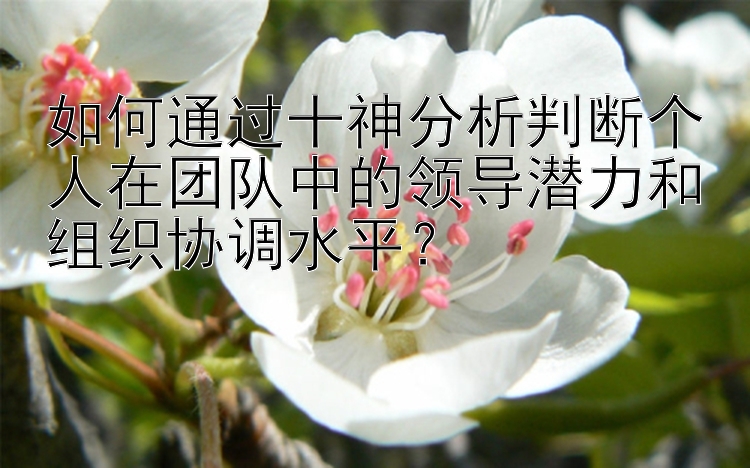 如何通过十神分析判断个人在团队中的领导潜力和组织协调水平？