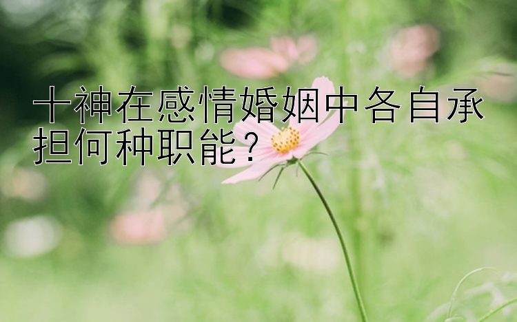 十神在感情婚姻中各自承担何种职能？