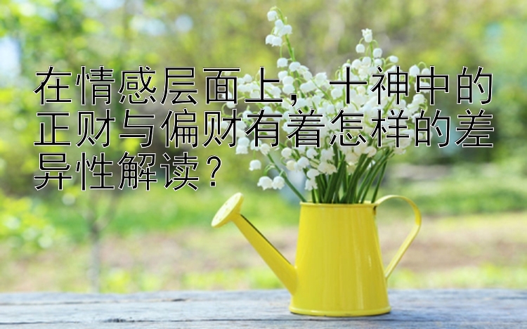 在情感层面上，十神中的正财与偏财有着怎样的差异性解读？