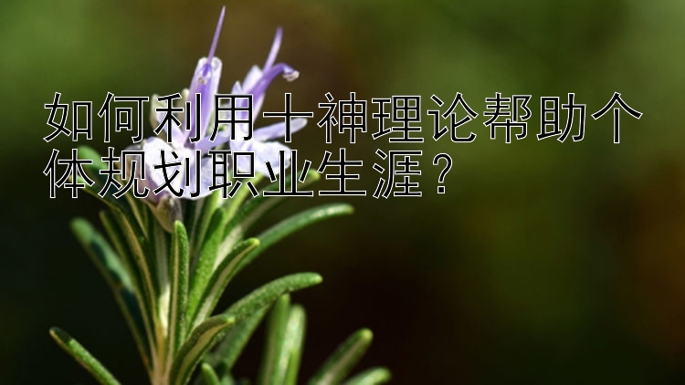 如何利用十神理论帮助个体规划职业生涯？