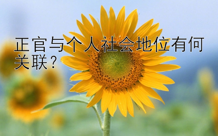 正官与个人社会地位有何关联？