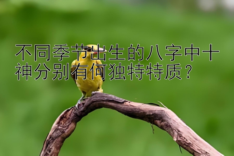 不同季节出生的八字中十神分别有何独特特质？