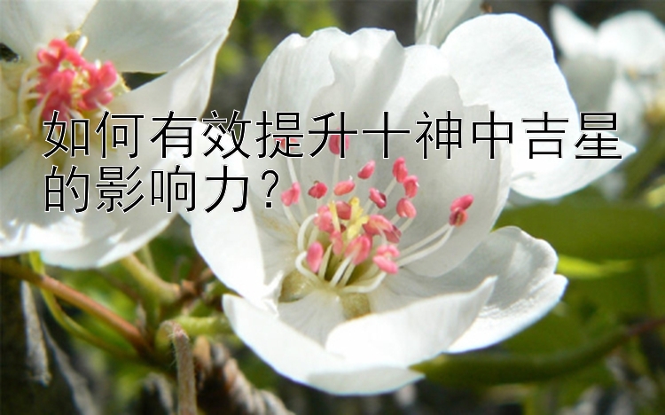 如何有效提升十神中吉星的影响力？