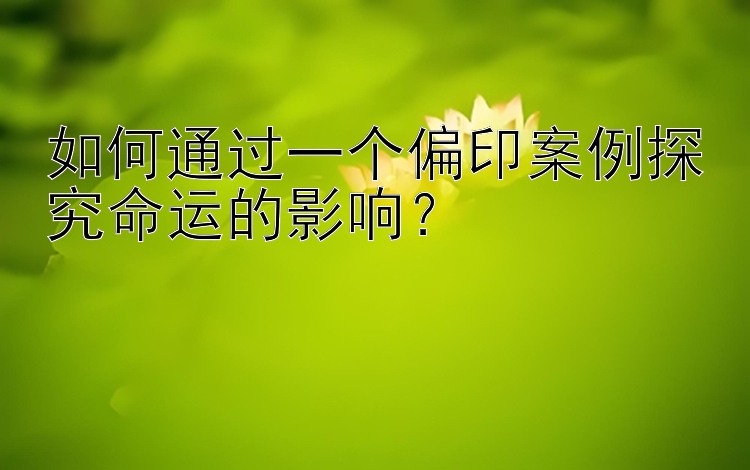 如何通过一个偏印案例探究命运的影响？