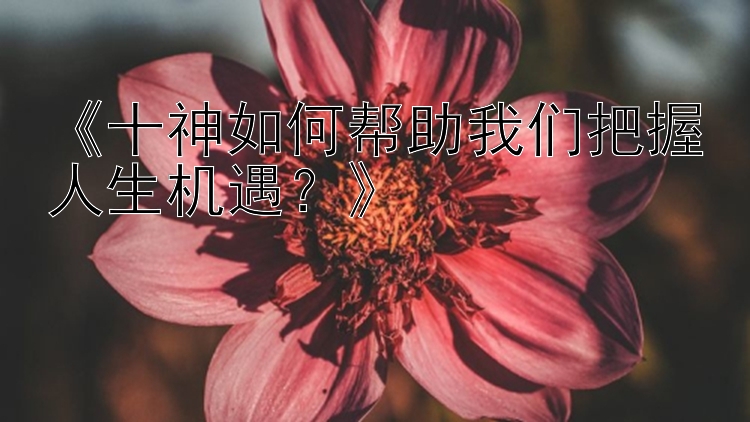 《十神如何帮助我们把握人生机遇？》