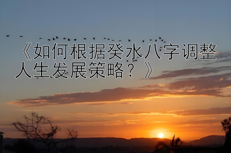 《如何根据癸水八字调整人生发展策略？》