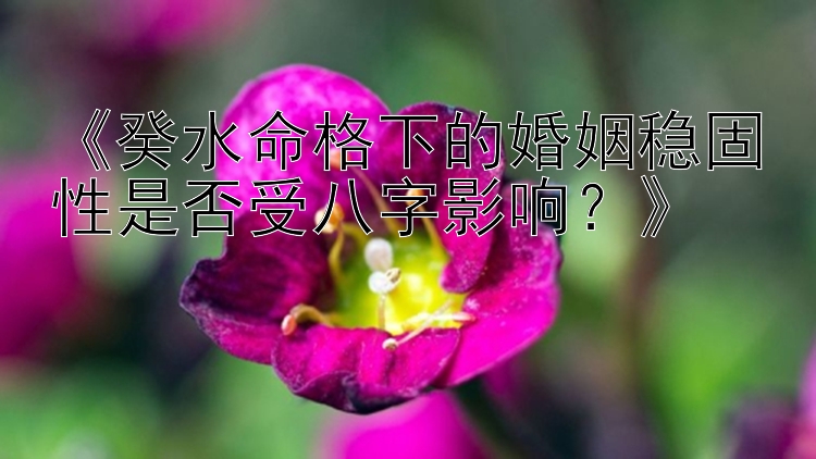 《癸水命格下的婚姻稳固性是否受八字影响？》