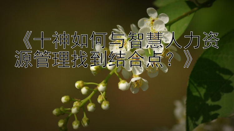 《十神如何与智慧人力资源管理找到结合点？》