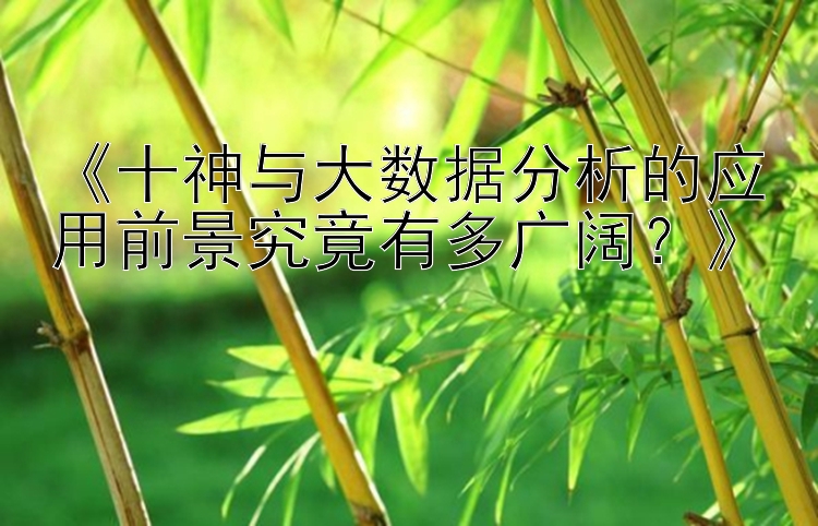 《十神与大数据分析的应用前景究竟有多广阔？》