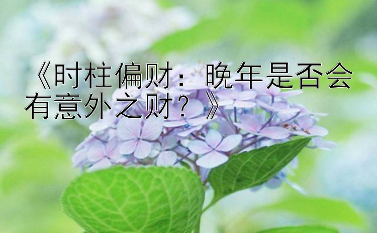 《时柱偏财：晚年是否会有意外之财？》