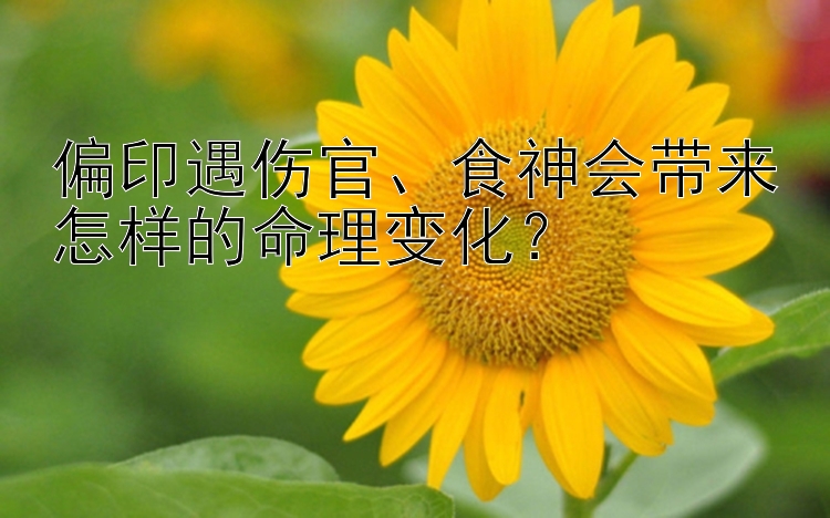 偏印遇伤官、食神会带来怎样的命理变化？